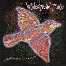 Widespread Panic - 'Til the Medicine Takes